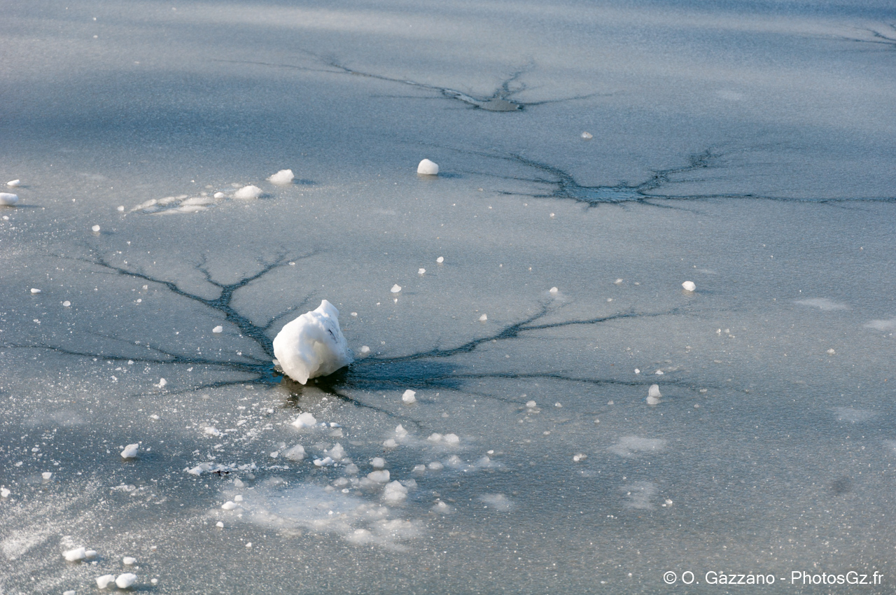 Brisons la glace sur le lac du parc de Sceau !